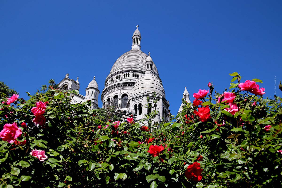 paris-sacre-coeur-kirche-gebäude-kapelle-basilika-blumen-rosen