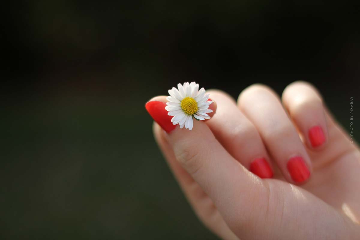 Hausmittel für die Handpflege-Naturlich-Hand-Nagel-Blume-rote Nagel-gesunde hande